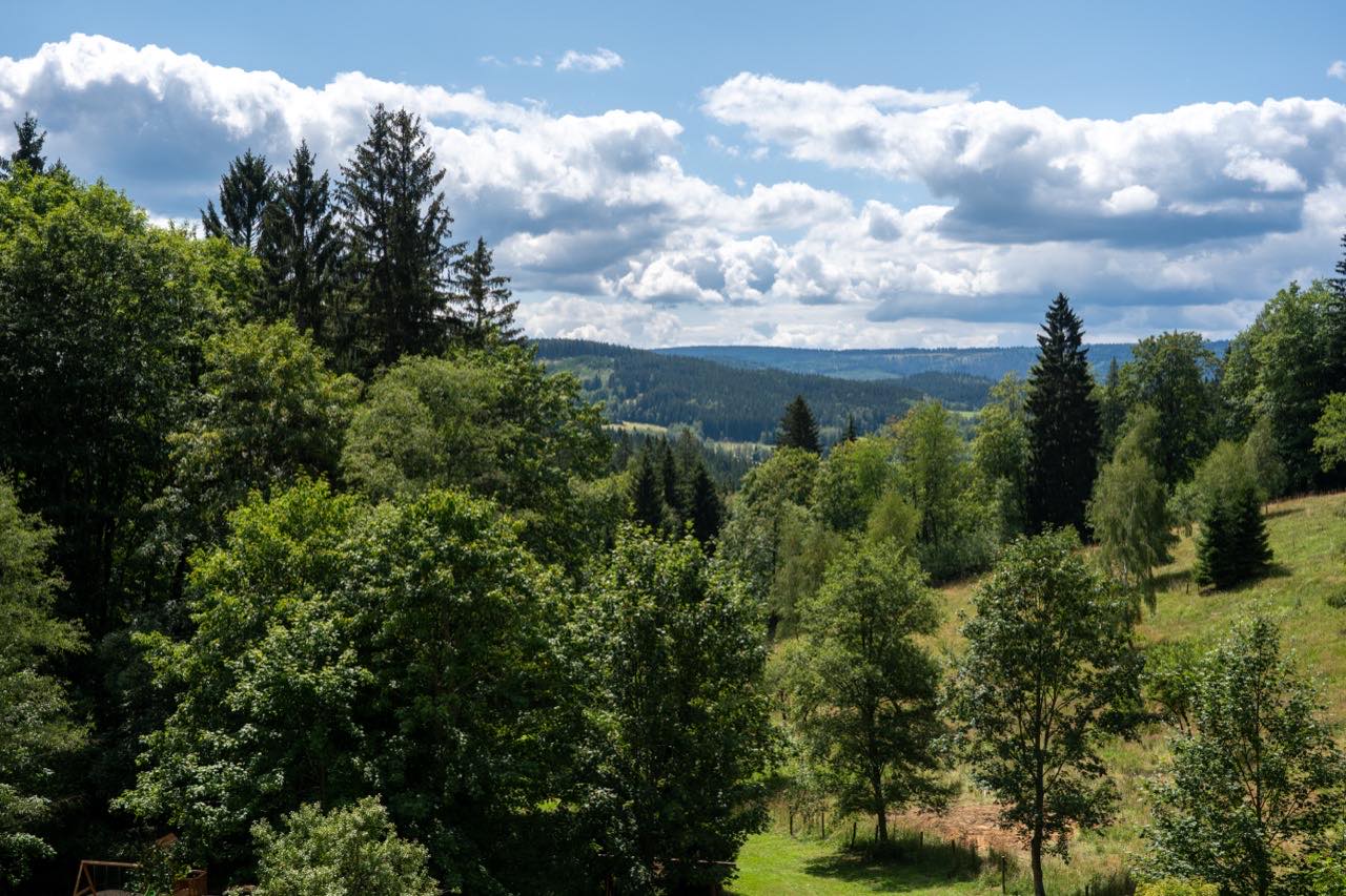 Šumavské kopce a lesy v okolí penzionu HamrákOFF